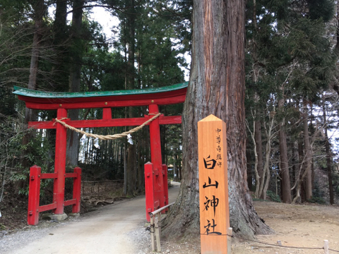 170313F.jpg