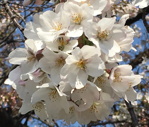 170404A.jpg