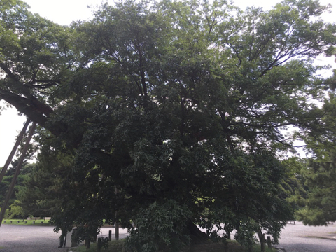 170720A.jpg