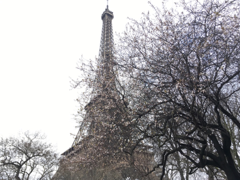 180306B.jpg