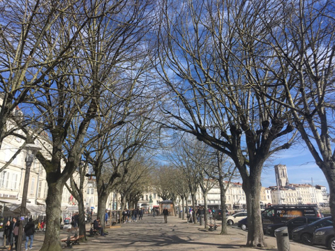 180308E.jpg