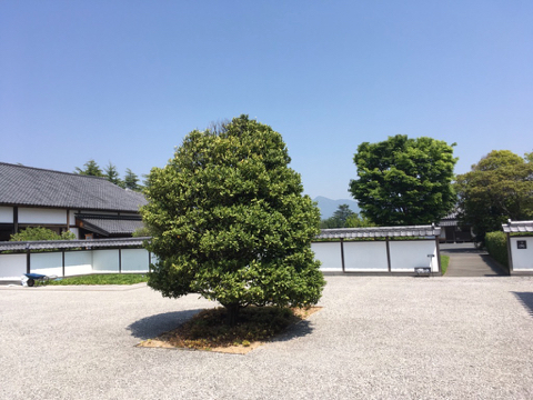 180428G.jpg
