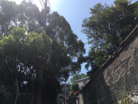 180819B.jpg
