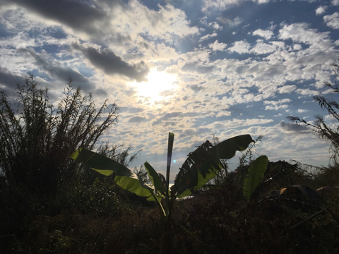 181020A.jpg