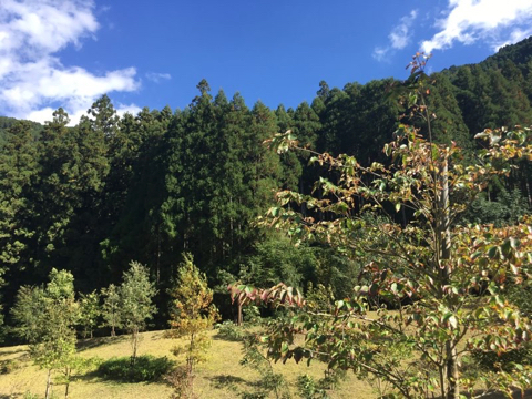 181027D.jpg