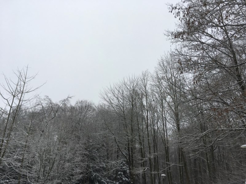 190122C.jpg