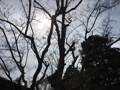 190312A.jpg