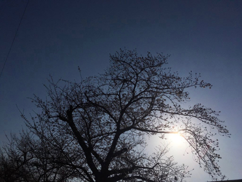 190327A.jpg