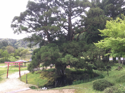 190501 6.jpg