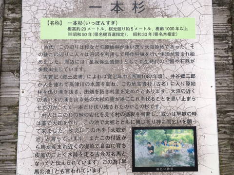 190501 8.jpg