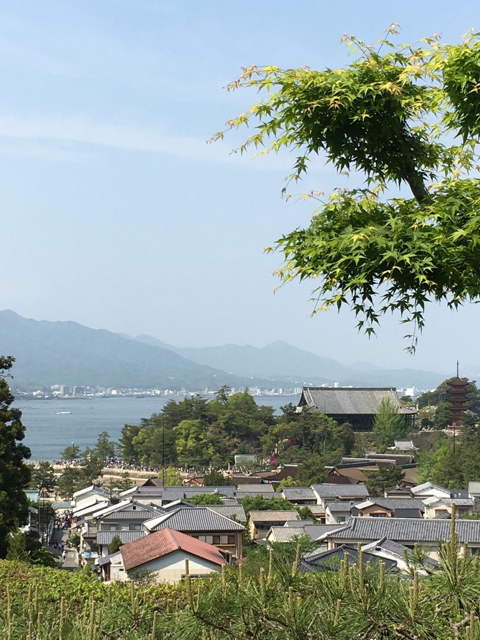 190502 2.jpg