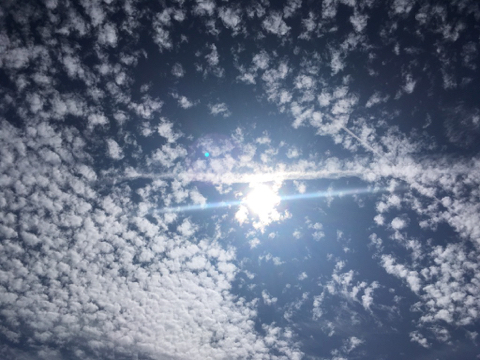 190929 1.jpg