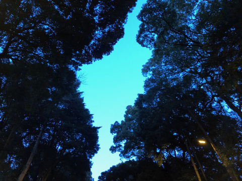 200103 1.jpg